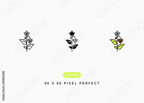 Buckwheat Icon. Japanese Buckwheat Flower Symbol Stock Illustration. Vector Line Icons For UI Web Design And Presentation