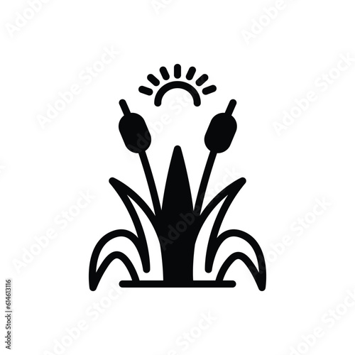 Black solid icon for reed 