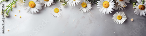 Frame of chamomiles  branches  leaves and lilac petals on white background. Flat lay  top view