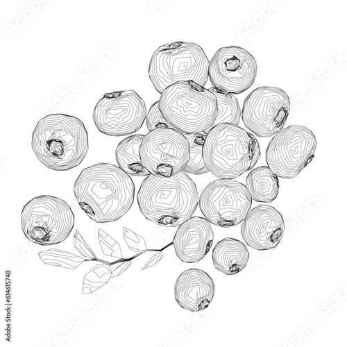 Outline Vector Blueberry black and white engraved ink art. Berries and leaves. Isolated contour blueberry illustration element. Vector raw blueberry. Ripe fruits full of nutrition and vitamins.