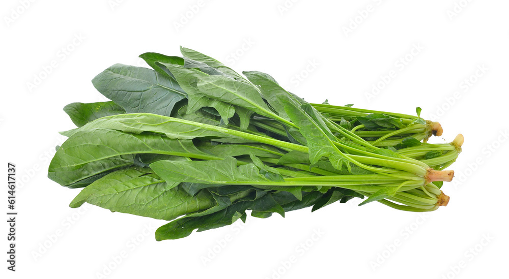 Spinach leaves isolated on transparent png Spinach leaves isolated on transparent png