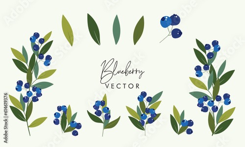 Set of blueberry with leaves design illustration. Set of romantic frames with ripe blueberries on white isolated background. Greeting card or invitation design
