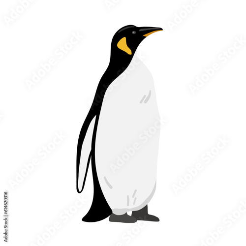 King Penguin. Flat vector illustration. Polar animal