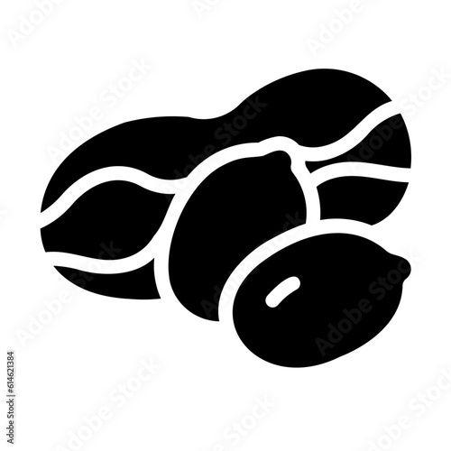 peanut Solid icon