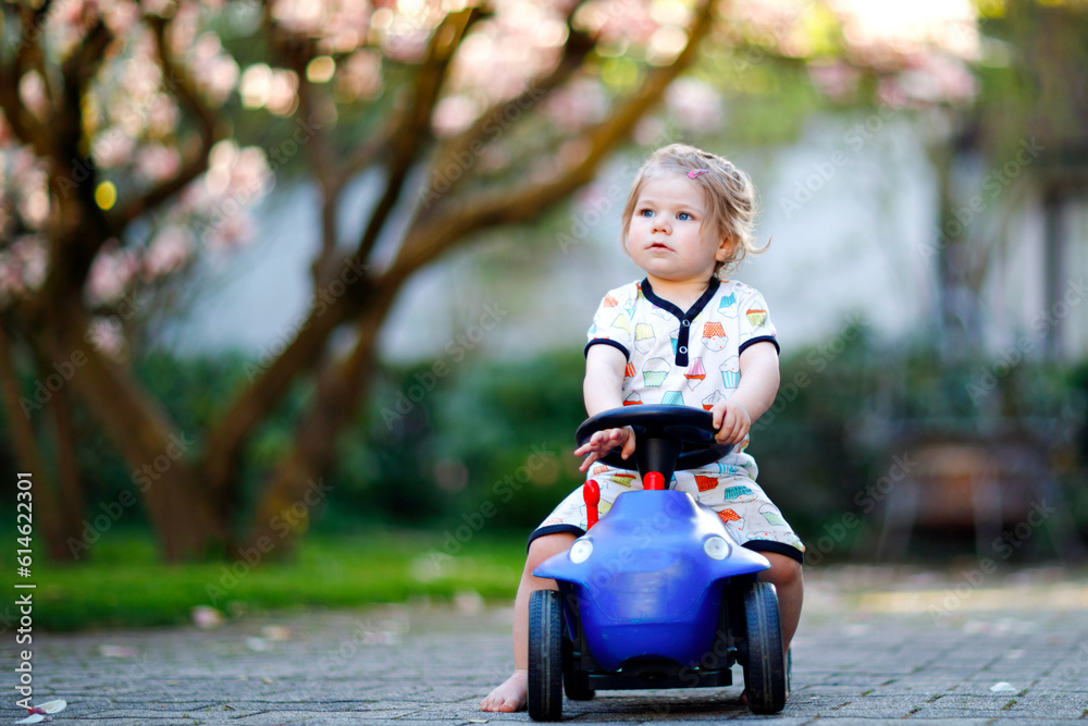 Cute little baby girl playing with blue small toy car in garden of home or nursery. Adorable beautiful toddler child with blossoming magnolia on background Cute little baby girl playing with blue small toy car in garden of home or nursery. Adorable beautiful toddler child with blossoming magnolia on background