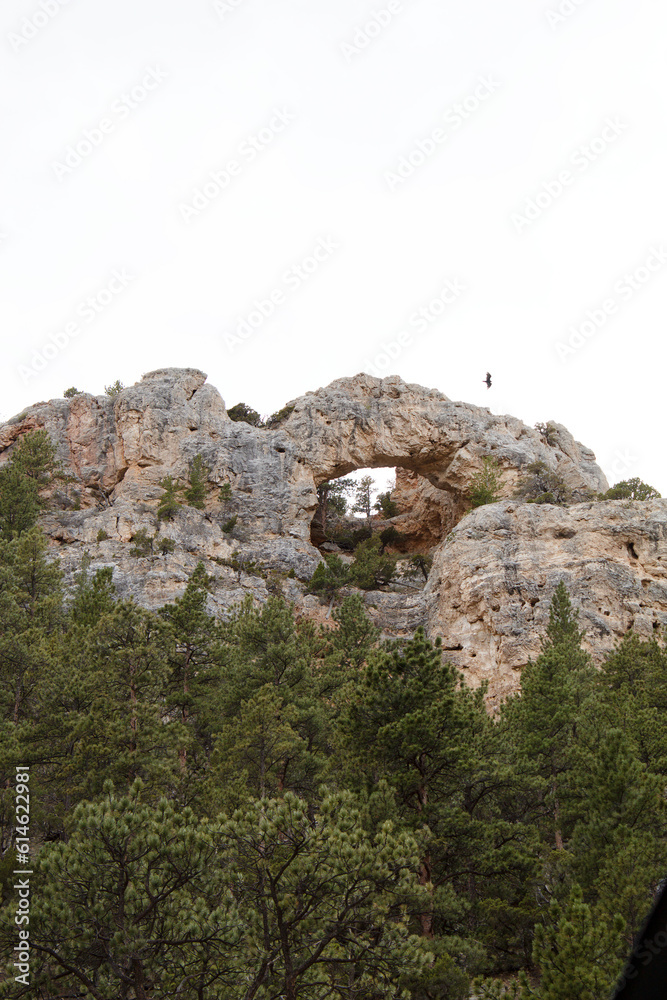 Hawk flying past a natural bridge high on a canyon wall Hawk flying past a natural bridge high on a canyon wall