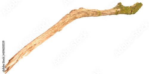 3d illustration of dry tree stump isolated on transparent background