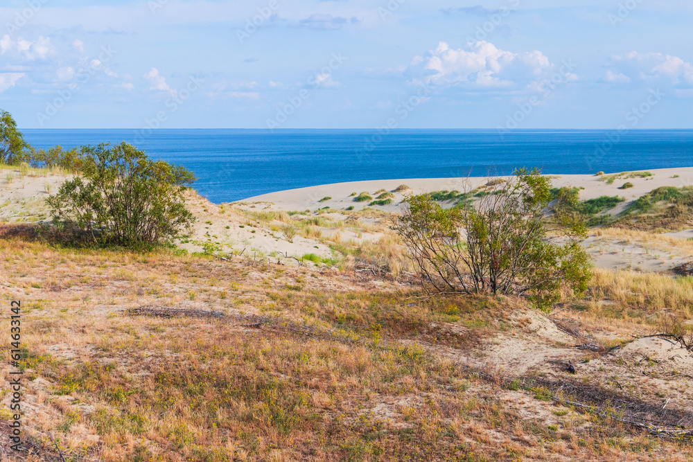 Curonian Spit, natural landscape photo. Coastal dunes