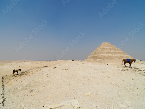 Desert Landscape with Pyramide and Domestic Horses Under Clear B