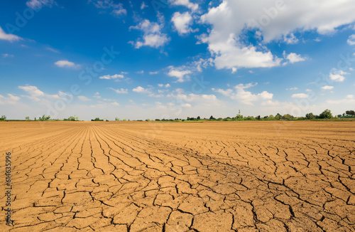 Severe drought - Dry field