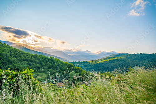 Fototapeta Naklejka Na Ścianę i Meble -  green hills covered with forest in the mountain range in the morning time in summer. countryside. mountain view sunny day. wonderful summer landscape in the mountains. grassy field and hills. 