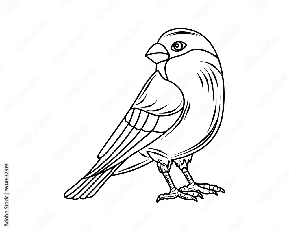 Fototapeta premium Tit. Bird. Cartoon, drawing. Coloring book for children. Vector. Outline drawing for print, magazines, children's illustrations. Used for web design. White background.