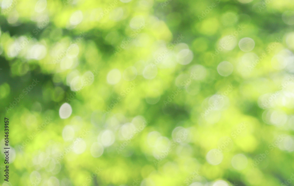 Abstract Beautiful Natural Bokeh Background Abstract Beautiful Natural Bokeh Background