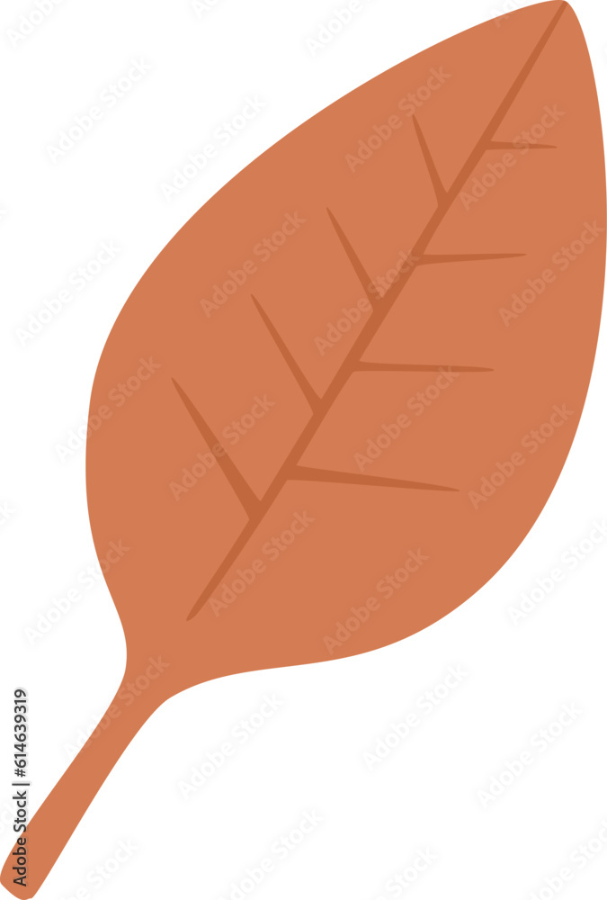 spring leaf illustration spring leaf illustration
