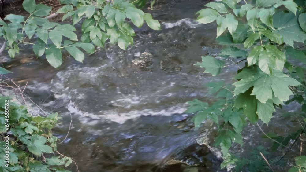 View of the flow of a mountain river through the green leaves of trees. Focus on leaves. View of the flow of a mountain river through the green leaves of trees. Focus on leaves.