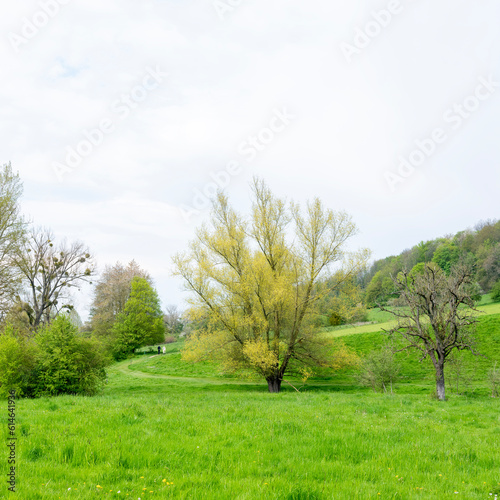 gulpdal with hiking trail in spring near slenaken in south limburg