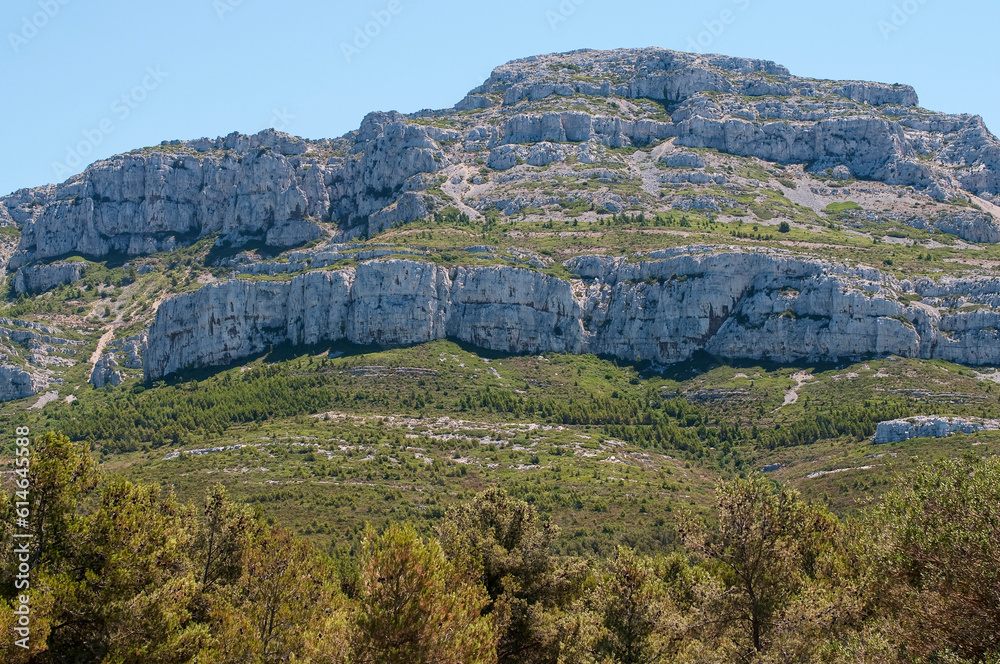 Fototapeta premium Paysage provençale
