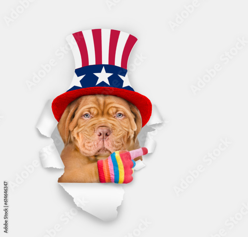 Serious Mastiff puppy wearing like Uncle Sam looking through a hole in paper and points away on empty space. isolated on white background © Ermolaev Alexandr
