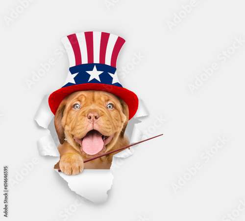 Happy Mastiff puppy wearing like Uncle Sam looking through a hole in paper and points away on empty space. isolated on white background © Ermolaev Alexandr