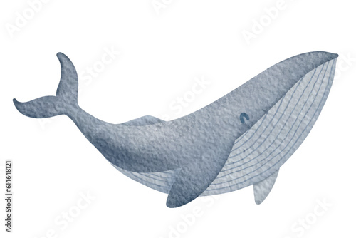 Watercolor whale painting .On paper texture. Vector illustration.