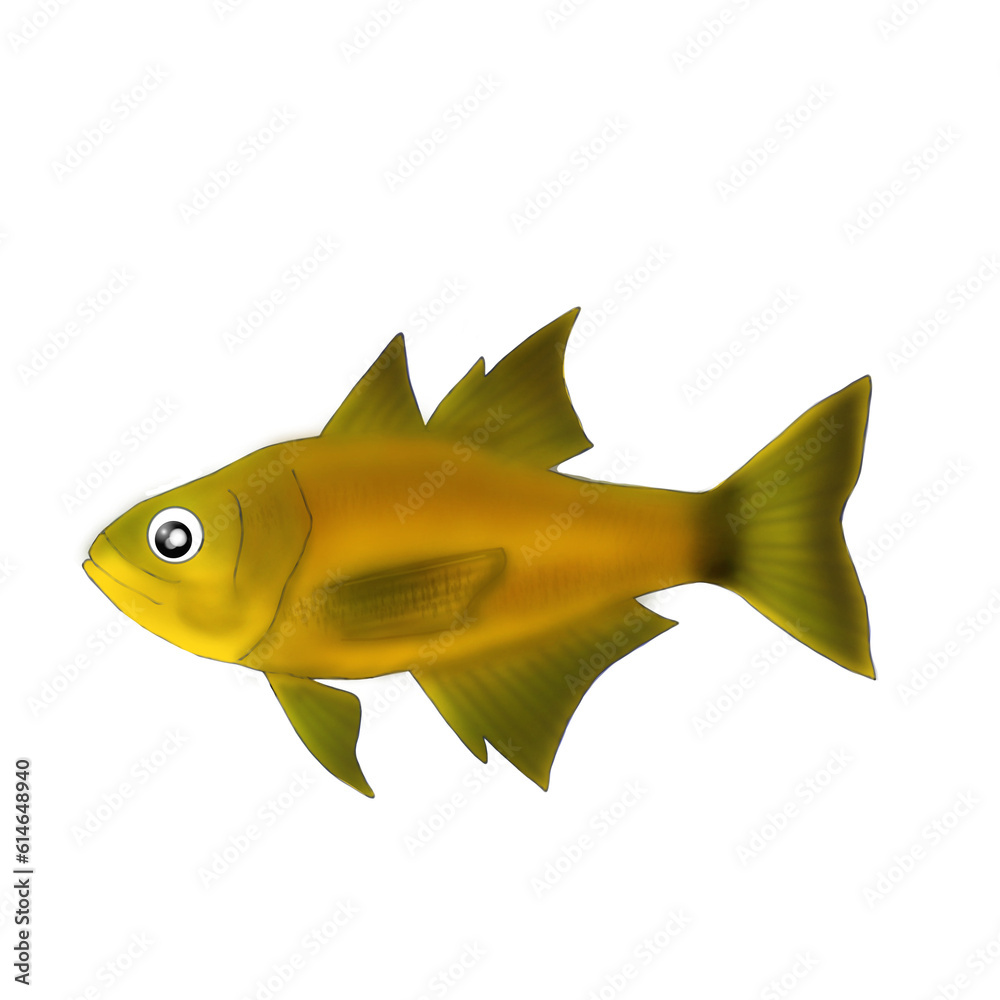 aquatic animals, marine life aquatic animals, marine life