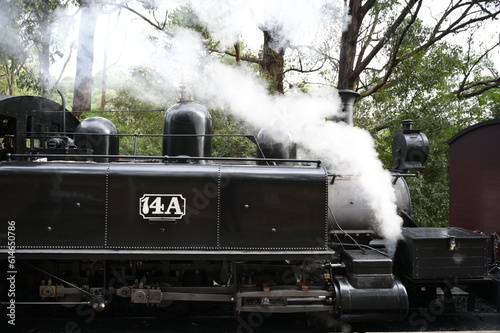 A footage of steam train