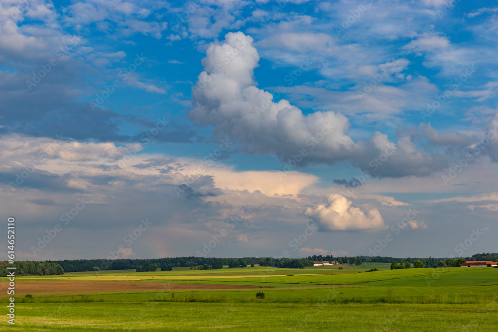Field and farm near the forest. Summer landscape. Field and farm near the forest. Summer landscape.