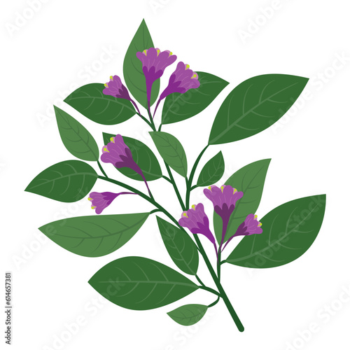 Purple and pink flowers floral branch  twig. Beautiful delicate fluffy blooms  blossomed herb  gentle wildflower.