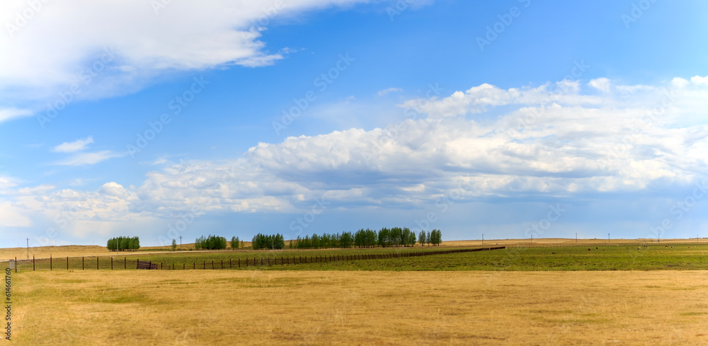 panoramic view of the endless meadow and blue sky. 
Travel or travel concept. Mongolian meadows and clear skies