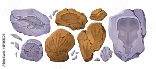 Cartoon set of fossil stones with prehistoric animal and plant imprints. Vector illustration of ancient rocks with dinosaur footprints, fish, shell, mammoth skull prints. Archeology museum exhibits