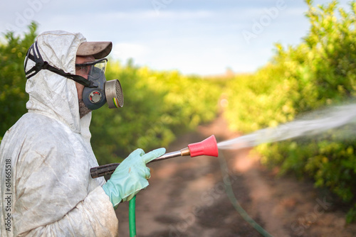 Farm worker in protective suit spraying pesticide on lemon trees photo