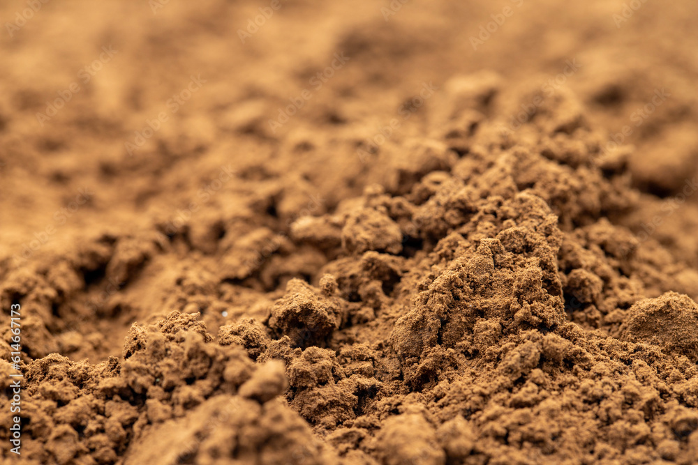 Pile of cocoa powder as background, spice or seasoning as background. Close-up cocoa powder Pile of cocoa powder as background, spice or seasoning as background. Close-up cocoa powder