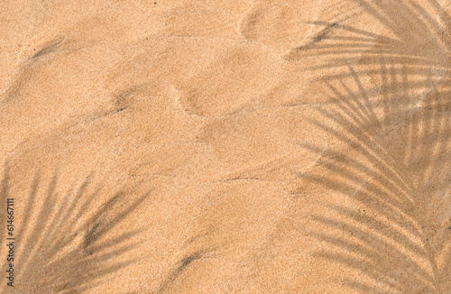 Sand Beach Texture Background with Coconut Palm leaves Shadow and sunlight,Nature Sea Beach Sandy with tropical leaf overlay,Top view Desert sand done,Banner for Summer vacation holiday concept