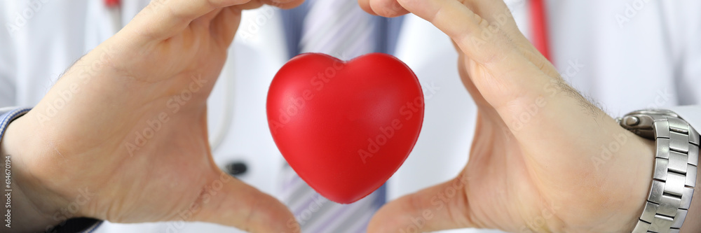 Hands of doctor cardiologist hold red toy heart in air. Cardiology care and health insurance concept