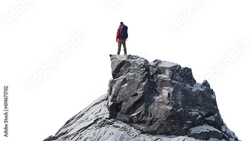 Vászonkép Rocky Mountain Peak with man Standing
