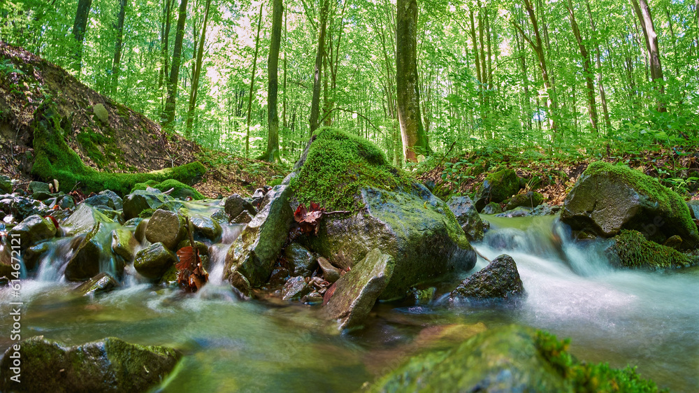 Forest stream close-up in the green summer forest Forest stream close-up in the green summer forest