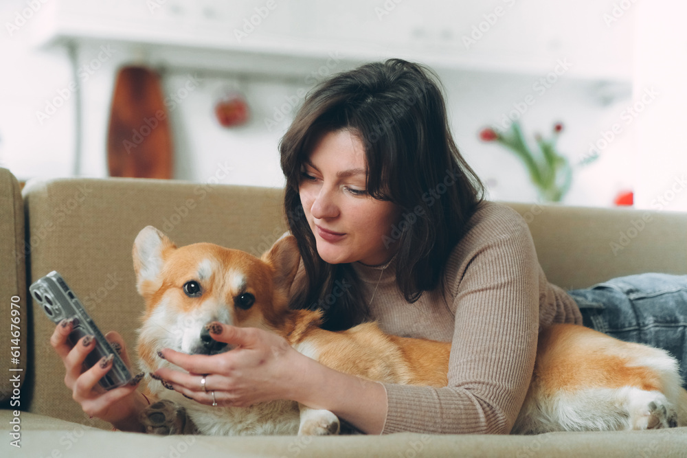 Owner female woman young girl playing with her dog welsh corgi pet Owner female woman young girl playing with her dog welsh corgi pet