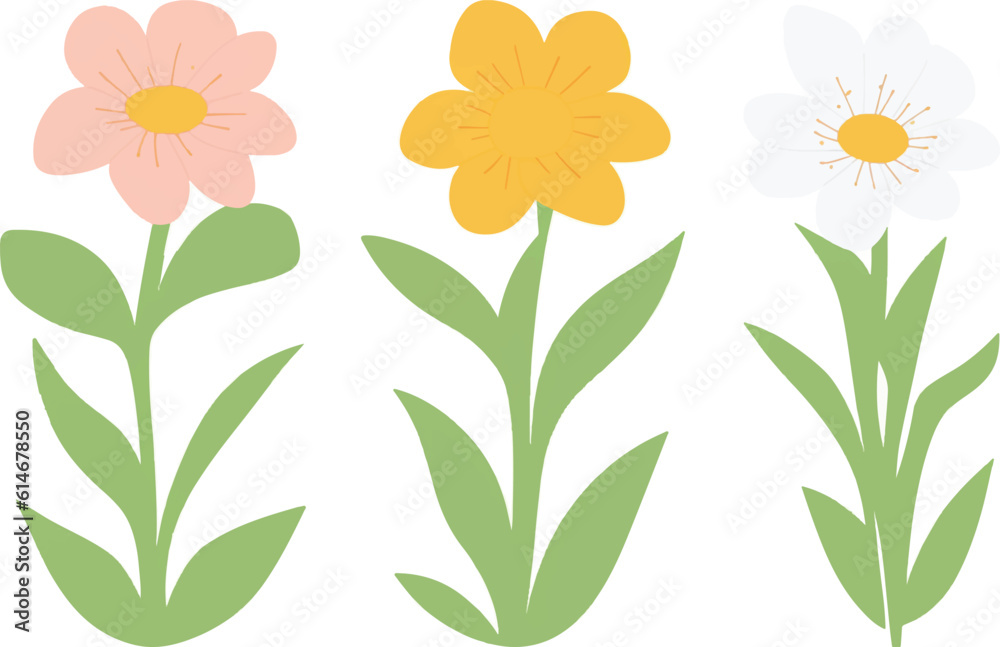 flower, vector, plant, illustration, leaf, design, bloom