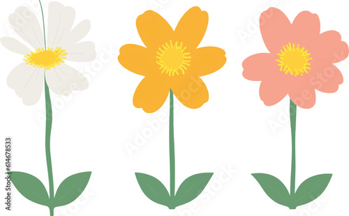 flower, vector, plant, illustration, leaf, design, bloom