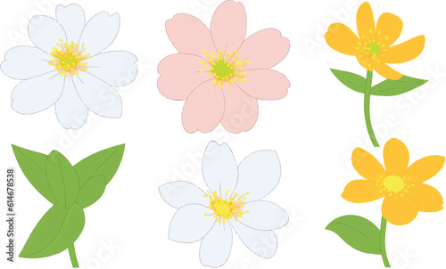 flower, vector, plant, illustration, leaf, design, bloom