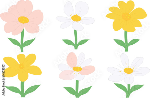 flower, vector, plant, illustration, leaf, design, bloom © jinna