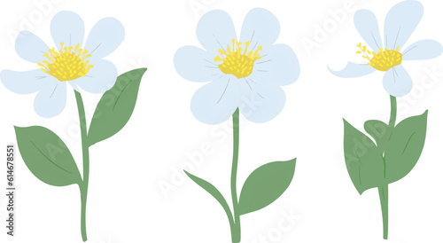 flower, vector, plant, illustration, leaf, design, bloom