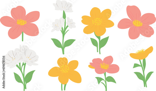 flower, vector, plant, illustration, leaf, design, bloom
