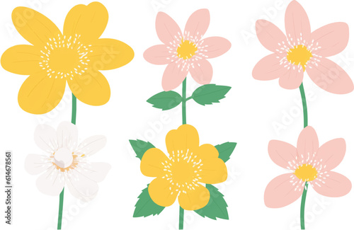 flower, vector, plant, illustration, leaf, design, bloom