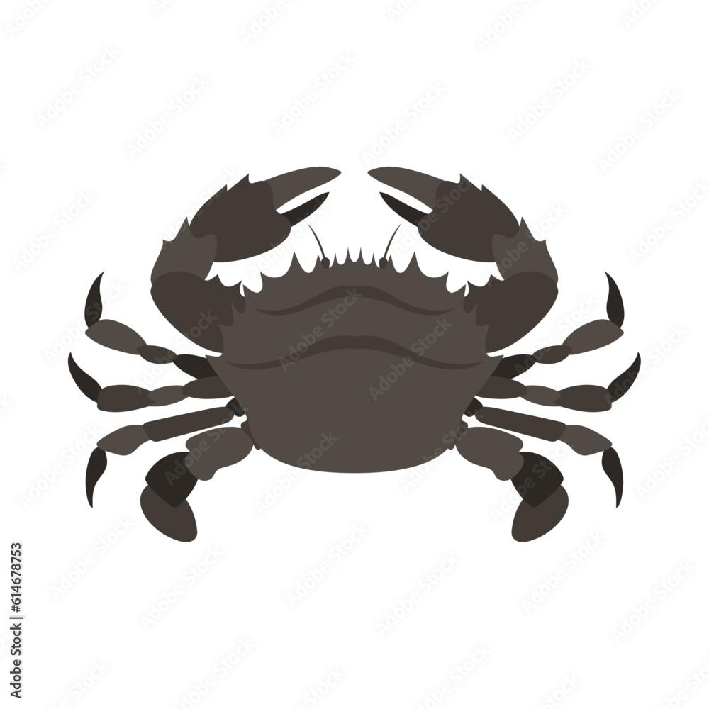 イシガニ Images – Browse 25 Stock Photos, Vectors, and Video