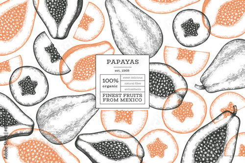 Hand drawn sketch style papaya banner. Organic fresh fruit vector illustration. Retro fruit design template