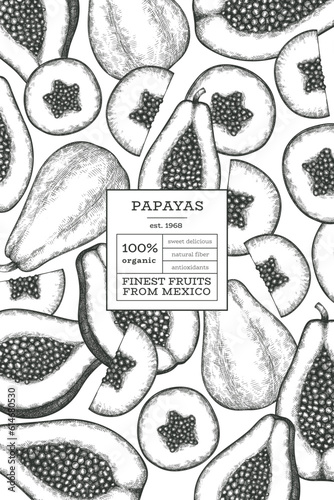 Hand drawn sketch style papaya banner. Organic fresh fruit vector illustration. Retro fruit design template