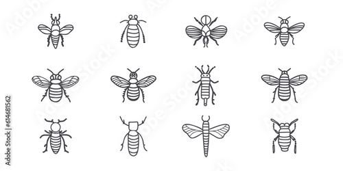 Set of insects, hand drawn, doodle vector illustration