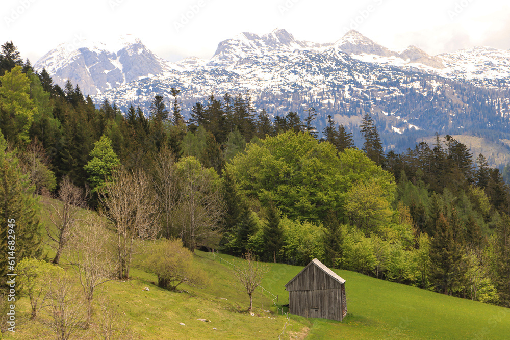 Frühling im Aussseerland; Blick vom Tressenstein zum Toten Gebirge mit Weißer Wand (2200m), Planermira (2188m) und Hochweiß (2187m)