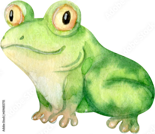 Hand Drawn Watercolor Cute Cartoon Frog